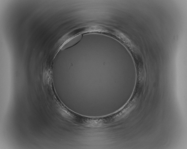 X0000116561369200912171401