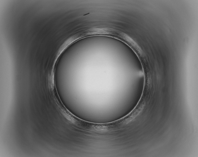 X0000116561370200912171401