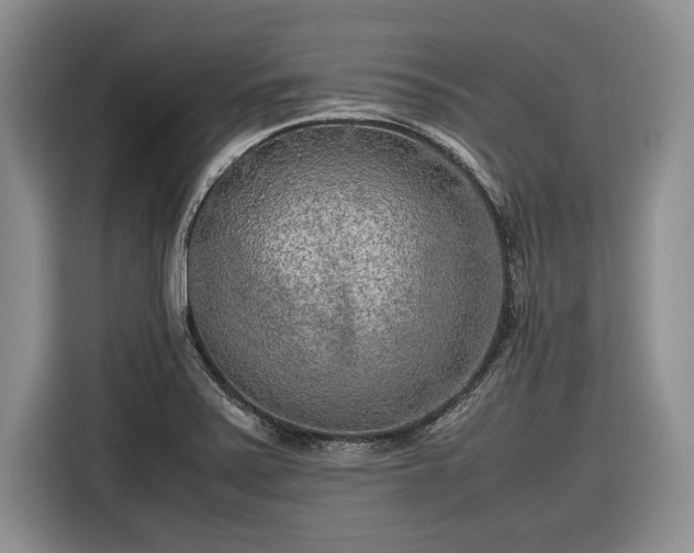 X0000116561371200912171401