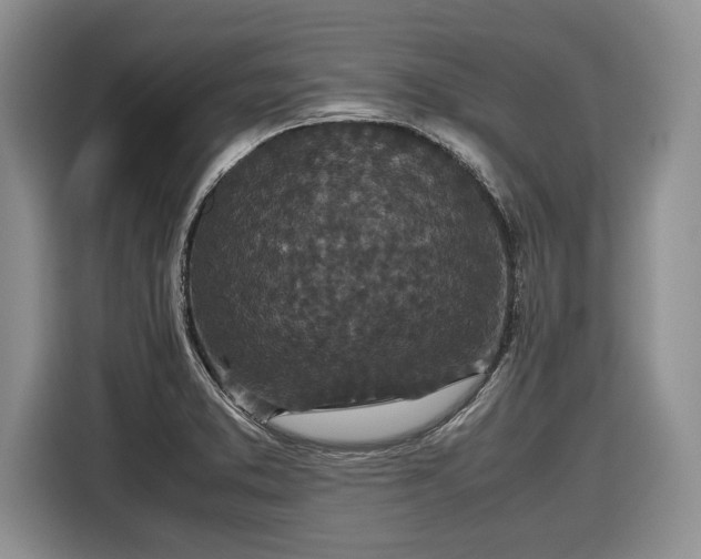 X0000116561373200912171401