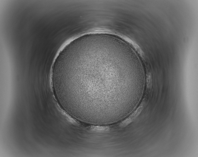 X0000116561374200912171400