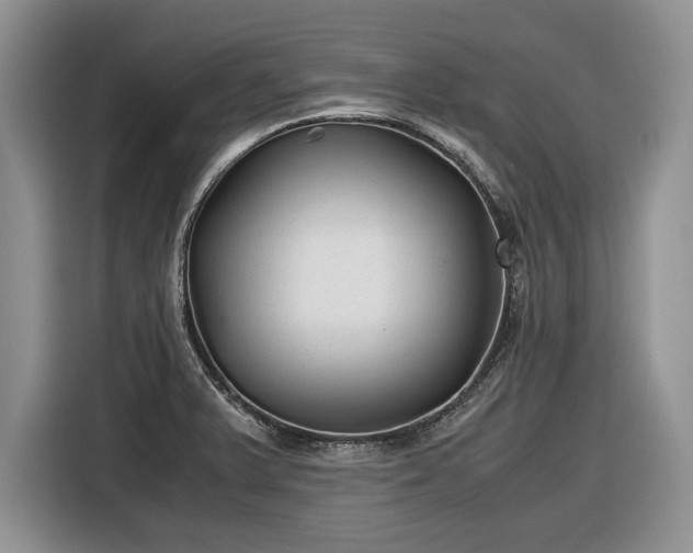 X0000116561375200912171400