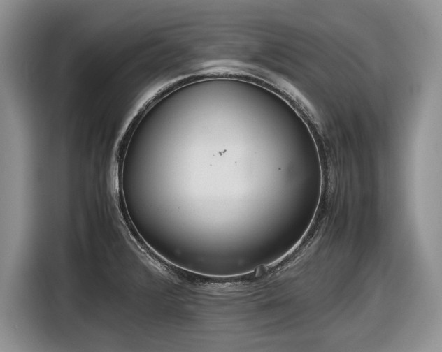 X0000116561376200912171400