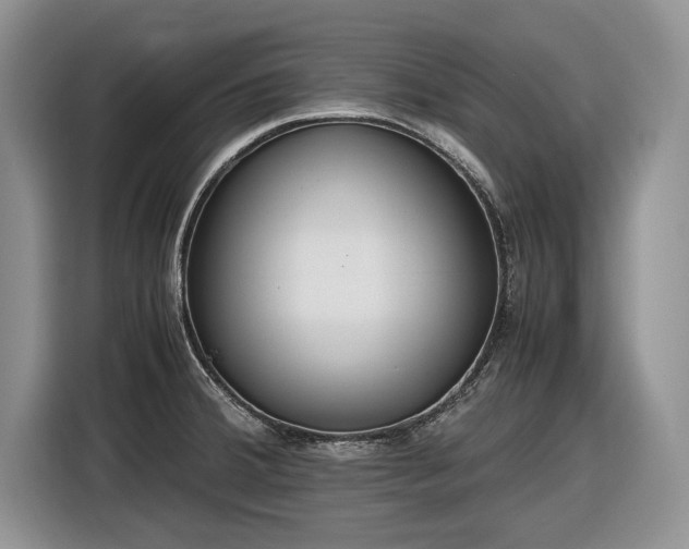 X0000116561380200912171400