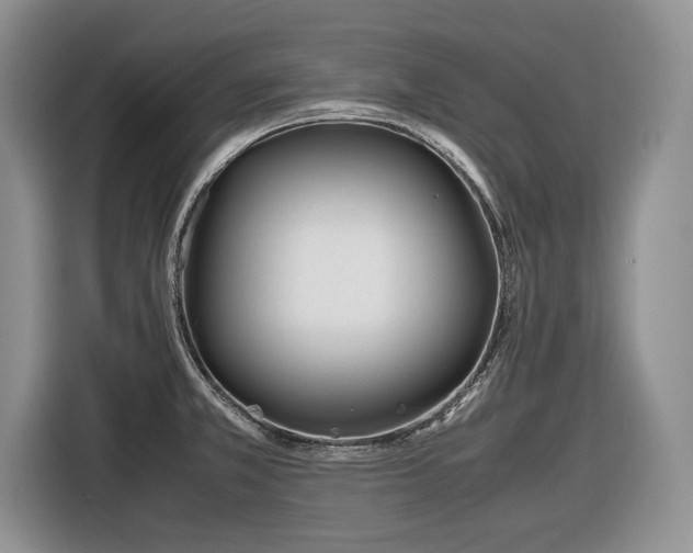 X0000116561381200912171400