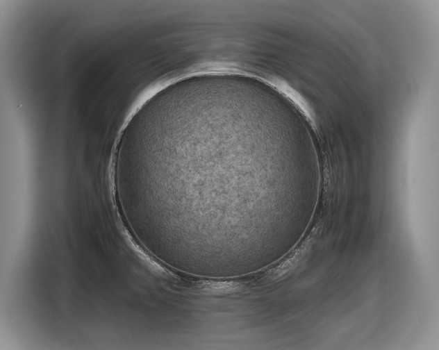 X0000116561382200912171400