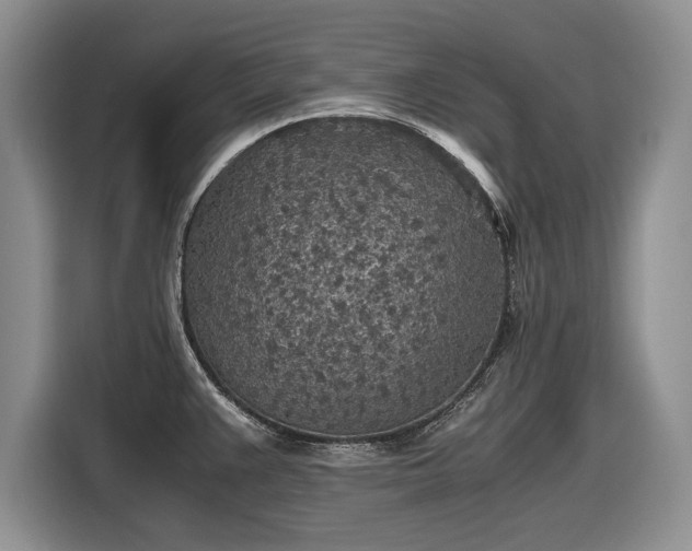 X0000116561383200912171400