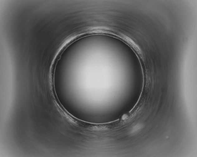 X0000116561384200912171400