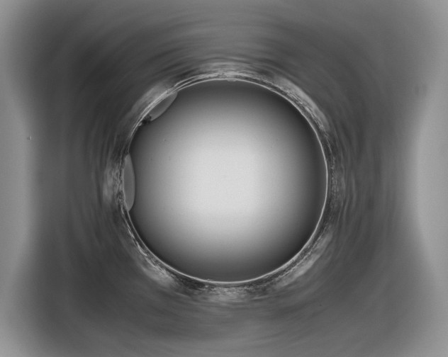 X0000116561385200912171400