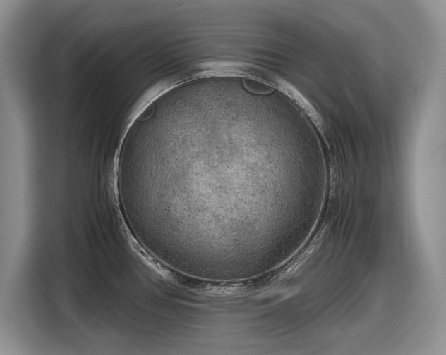 X0000116561386200912171400