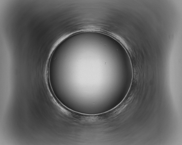 X0000116561387200912171400