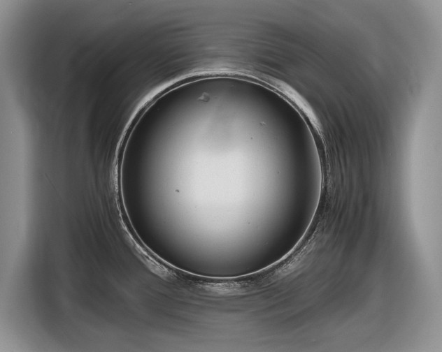 X0000116561388200912171400