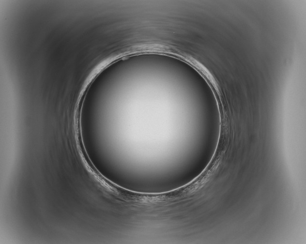 X0000116561389200912171400