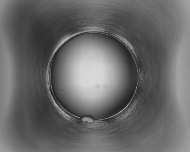 X0000116561391200912171400