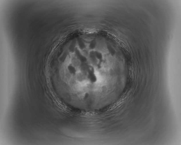 X0000116561393200912171400