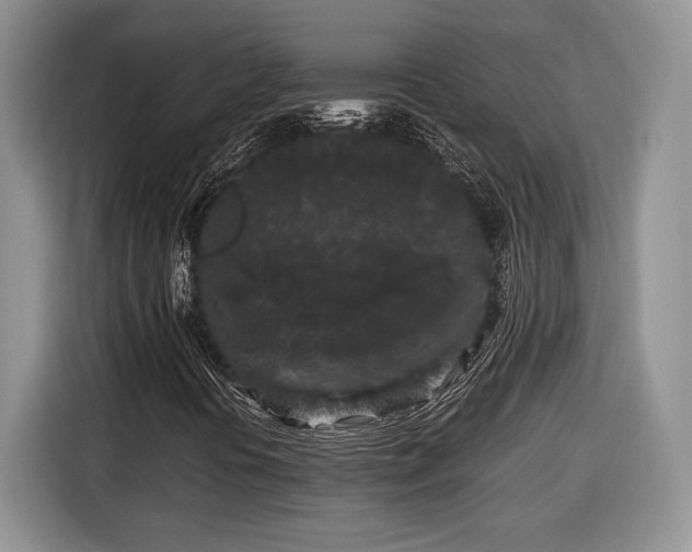 X0000116561394200912171400