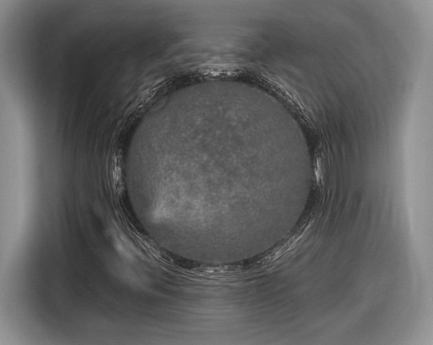 X0000116561396200912171400