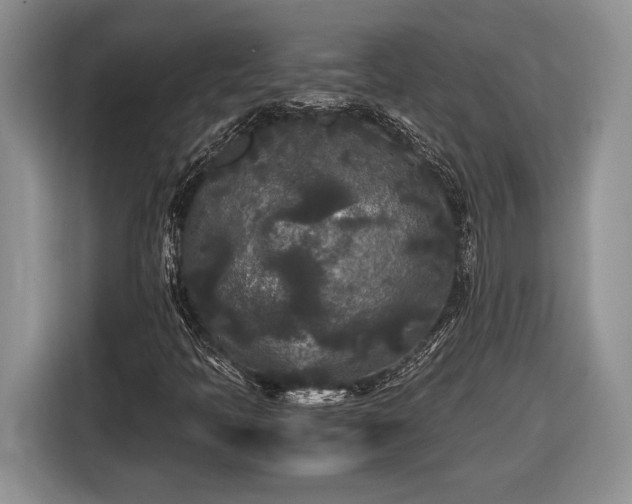 X0000116561397200912171400