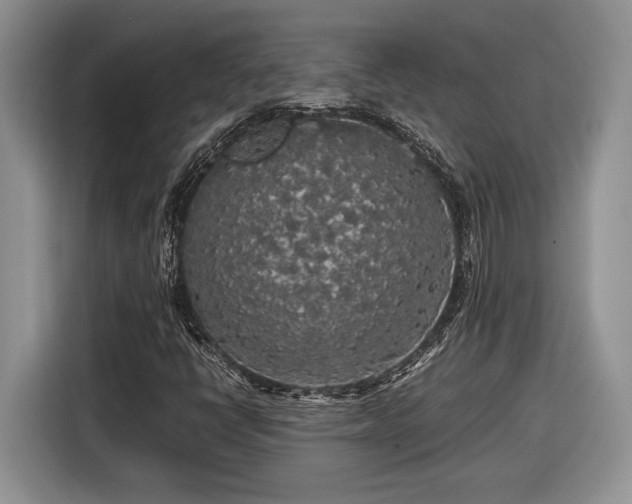 X0000116561398200912171400