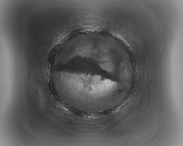 X0000116561399200912171400