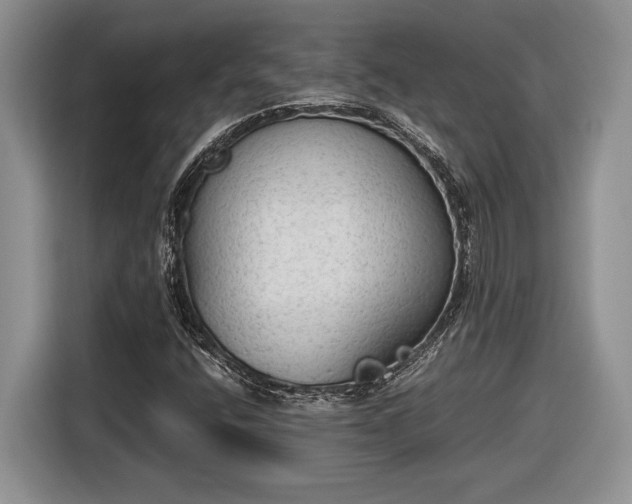 X0000116561400200912171400