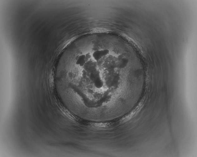 X0000116561401200912171400