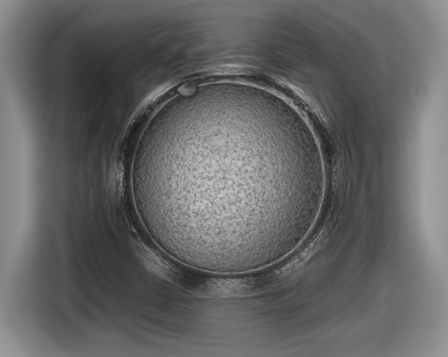 X0000116561402200912171400