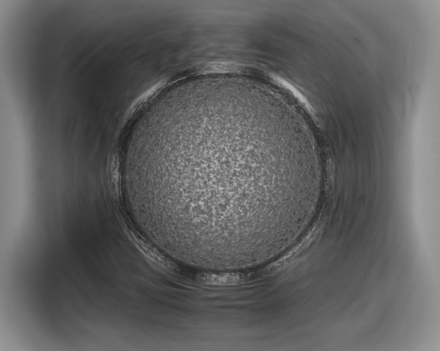 X0000116561403200912171400