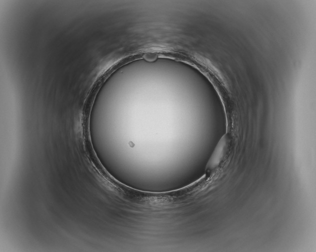 X0000116561404200912171400