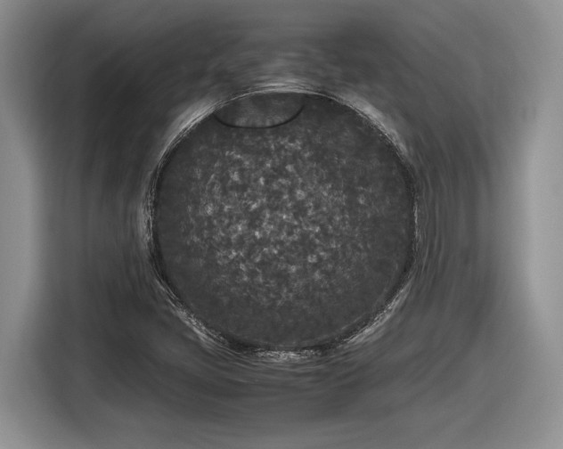 X0000116561405200912171400