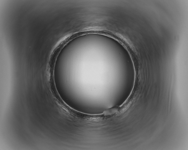 X0000116561406200912171400