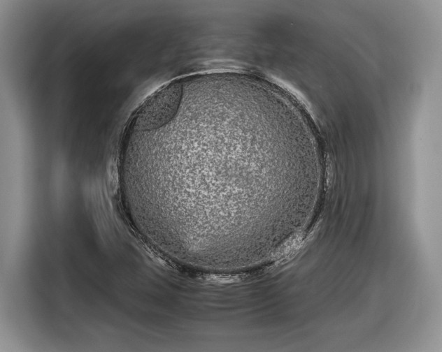 X0000116561407200912171400