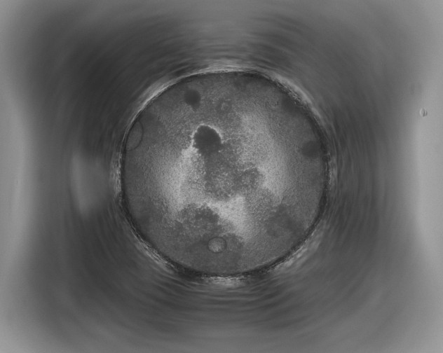 X0000116561409200912171400