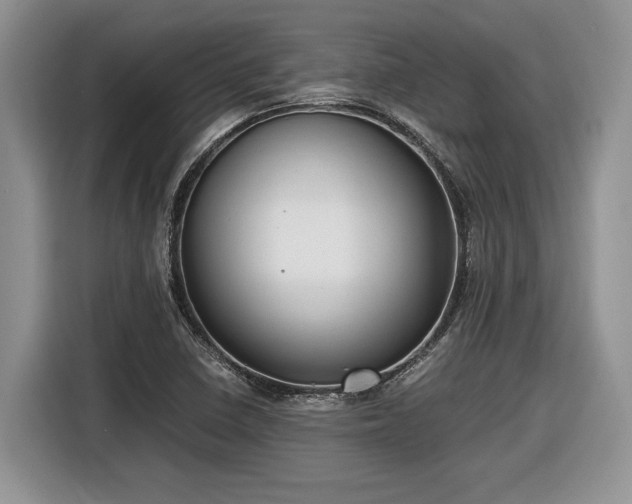 X0000116561410200912171400