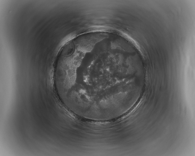 X0000116561411200912171400