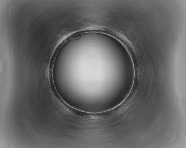 X0000116561412200912171400