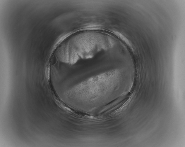 X0000116561413200912171400