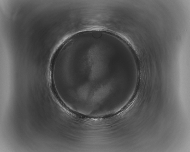 X0000116561414200912171400