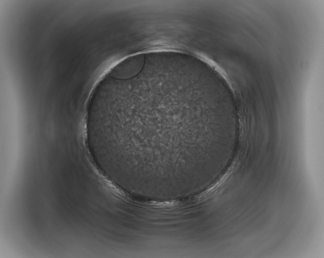 X0000116561415200912171400