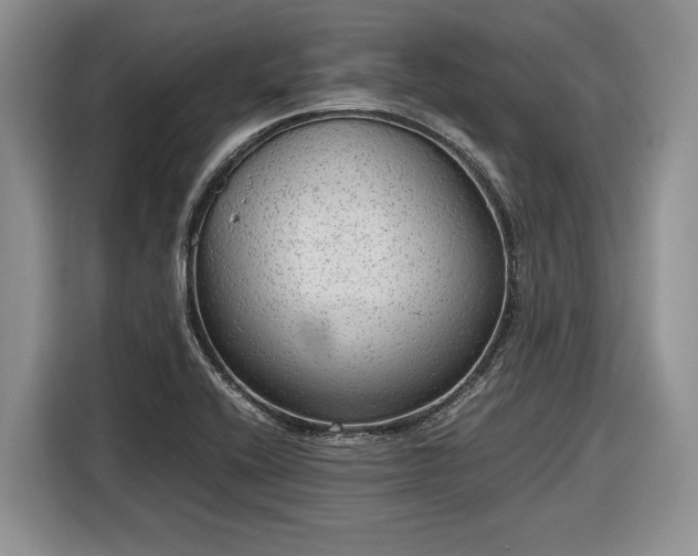 X0000116561416200912171400