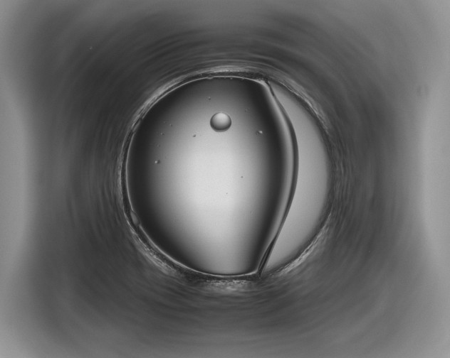 X0000116561417200912171400