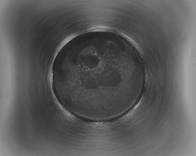 X0000116561418200912171400