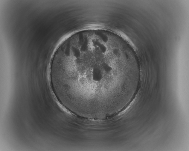 X0000116561421200912171400