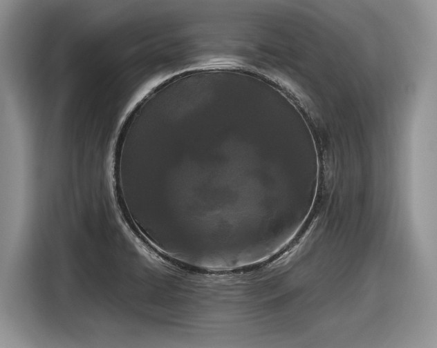 X0000116561422200912171400