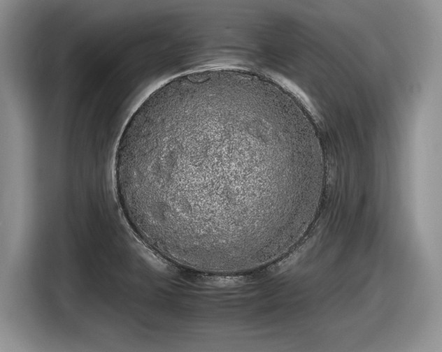 X0000116561423200912171400