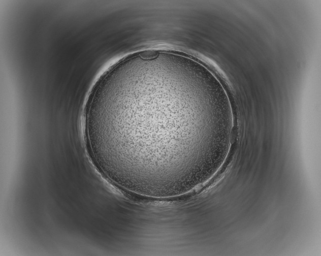 X0000116561424200912171400