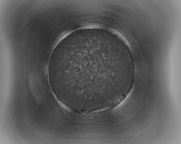 X0000116561425200912171400