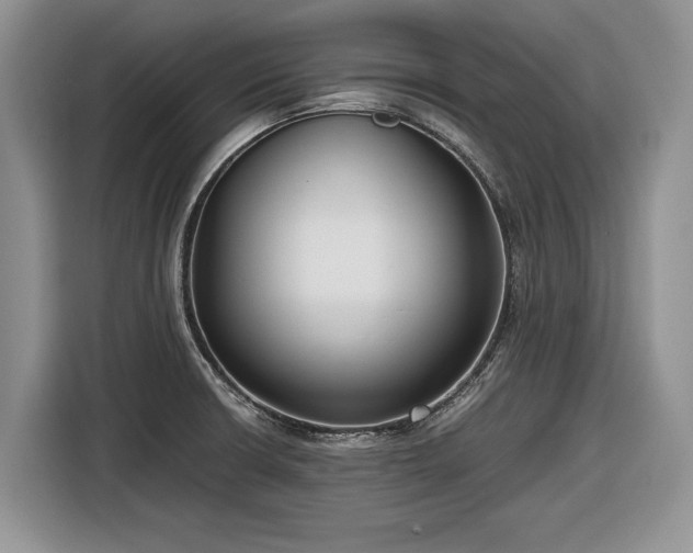 X0000116561426200912171400