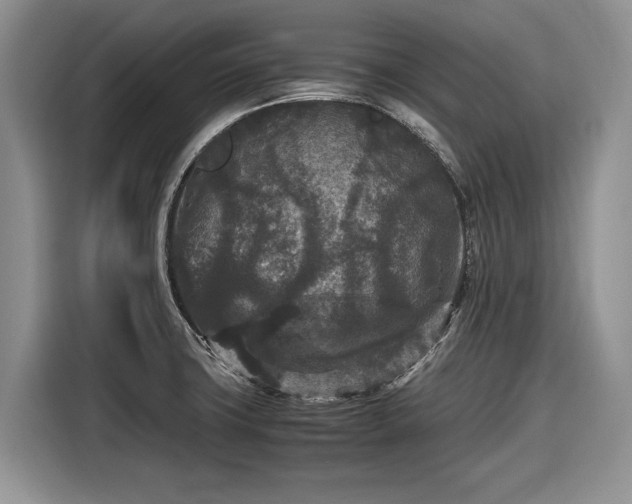 X0000116561427200912171400