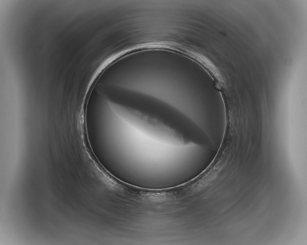 X0000116561428200912171400